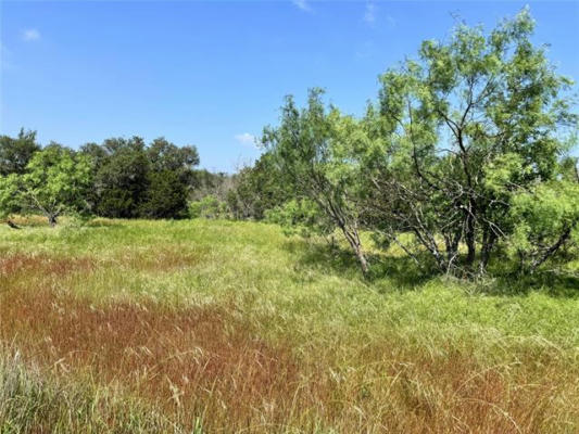 TBD LOT 59 COUNTY ROAD 600, BROWNWOOD, TX 76801, photo 2 of 18