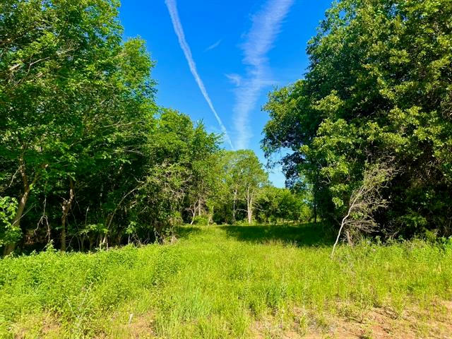 LOT 51 WICKLOW CT, POOLVILLE, TX 76487, photo 1 of 18