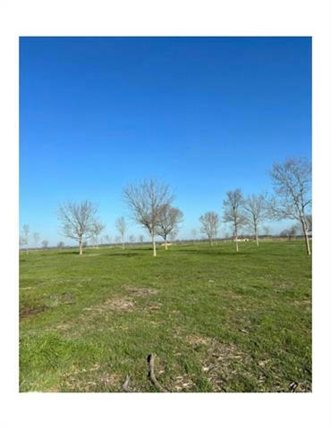 LOT 174 AND BOAT SLIP #7 WATERFRONT CLUB, CORSICANA, TX 75109, photo 1 of 7