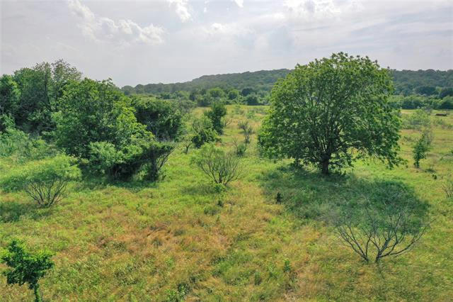 10.04 ACRES LESTER RD, JACKSBORO, TX 76458, photo 1 of 18