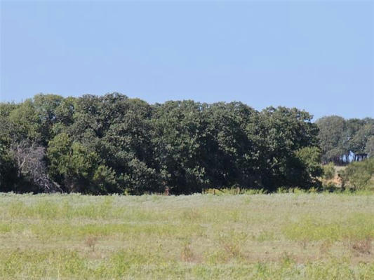 TBD CR 415, CROSS PLAINS, TX 76443, photo 3 of 34