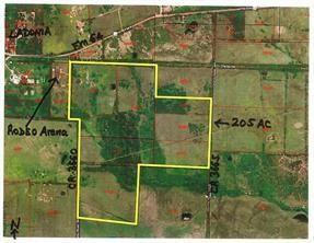 TBD1 COUNTY ROAD 3660, LADONIA, TX 75449, photo 4 of 39