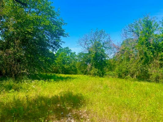 LOT 98 ARLOW RD, POOLVILLE, TX 76487, photo 3 of 18