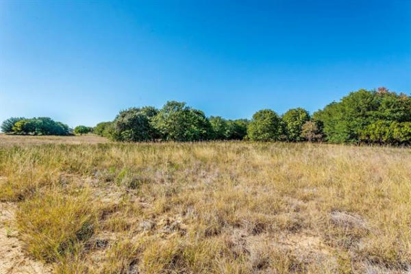 LOT 27 GRAYSTONE DRIVE, MILLSAP, TX 76066, photo 4 of 8