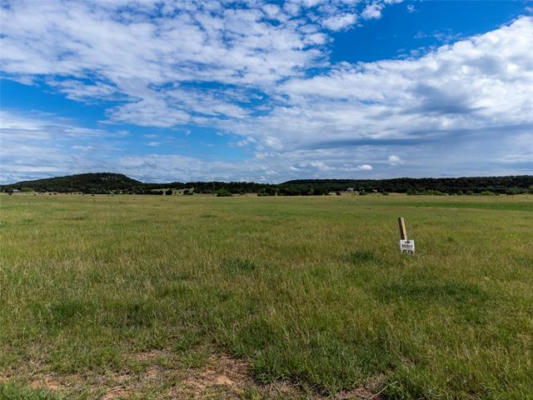 LOT #59 PLEASANT VALLEY RD, MINERAL WELLS, TX 76067, photo 3 of 11