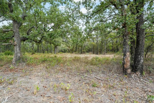 LOT 15 DOUBLE B RANCH ROAD S, PERRIN, TX 76486, photo 4 of 35