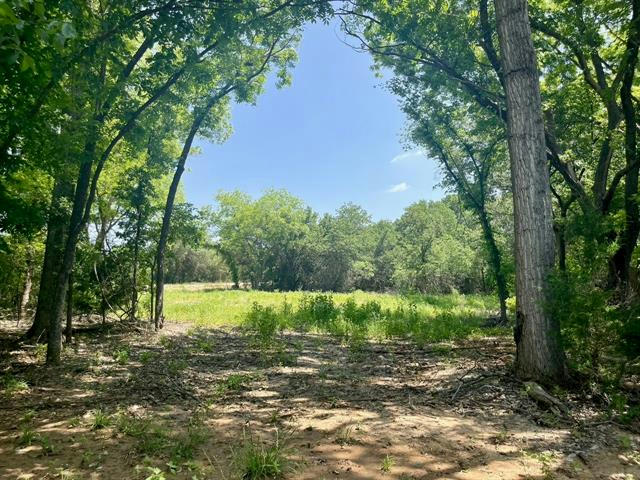 LOT 50 WICKLOW CT, POOLVILLE, TX 76487, photo 1 of 18