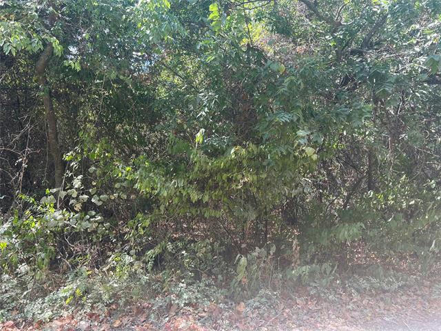 LOT 97 WESTWOOD DRIVE, TRINIDAD, TX 75163, photo 1 of 5