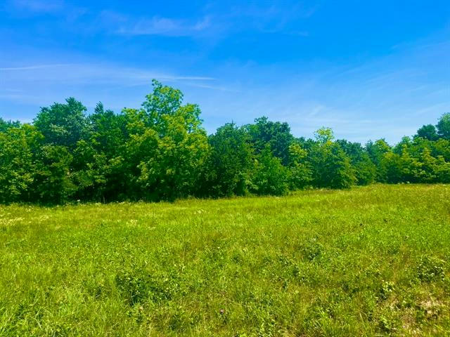 LOT 103 ARLOW RD, POOLVILLE, TX 76487, photo 1 of 18