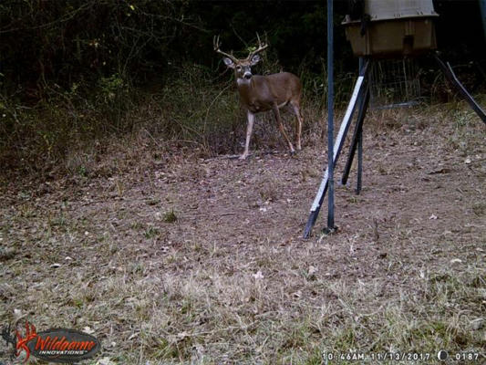 200 COUNTY ROAD 108, WHITESBORO, TX 76273, photo 3 of 20