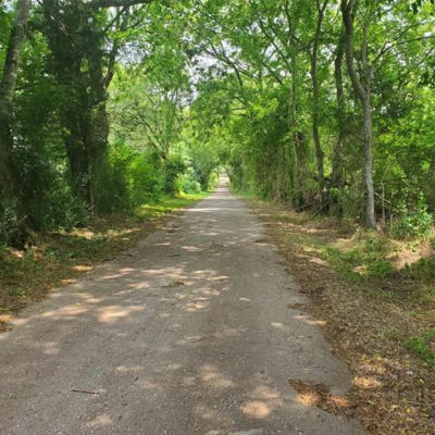 4174 W COUNTY ROAD, LANEVILLE, TX 75667, photo 2 of 16