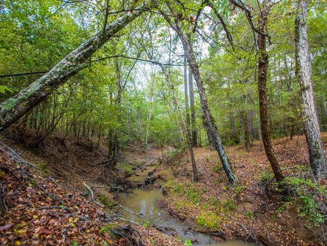 2175 ANDERSON COUNTY ROAD 353, PALESTINE, TX 75801, photo 1 of 21
