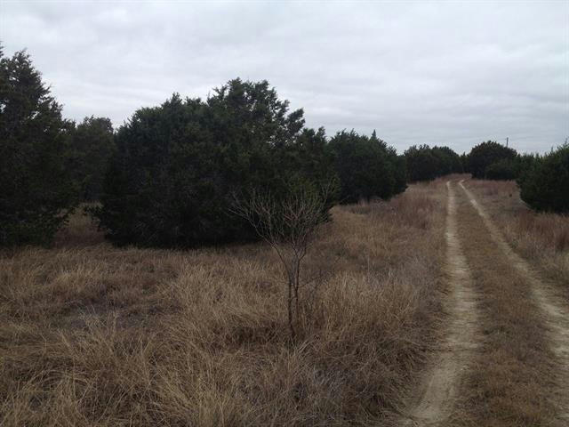 TBD COUNTY ROAD 142, NO CITY, TX 76528, photo 1 of 5