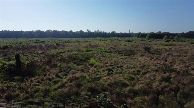 0000 COUNTY RD 4621, ANNONA, TX 75550 - Image 1