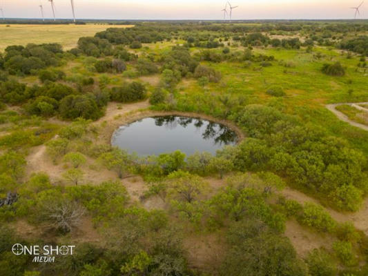 6444 COUNTY ROAD 423, BAIRD, TX 76437, photo 4 of 26