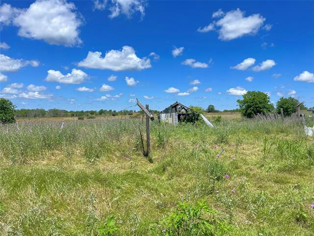 9947 STATE HIGHWAY 220, HICO, TX 76457, photo 1 of 10