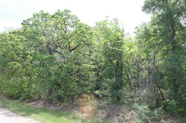 LOT 14 JIM WALTERS DRIVE, RUNAWAY BAY, TX 76426, photo 1 of 14