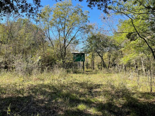 TBD COUNTY RD 4614 ROAD, COMMERCE, TX 75428, photo 4 of 24