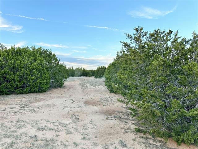 TBD COUNTY RD 184, OVALO, TX 79541, photo 1 of 9