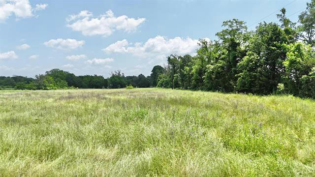 2052 COUNTY ROAD 3124, GREENVILLE, TX 75402, photo 3 of 40