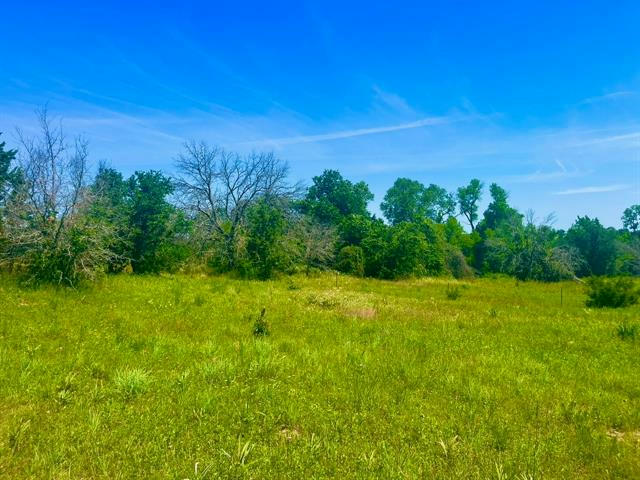 LOT 94 KERRY CT, POOLVILLE, TX 76487, photo 1 of 18