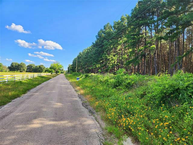 LOT 459 CR-4712, LARUE, TX 75770, photo 1 of 40