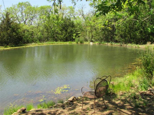 401 COYOTE TRL, WHITESBORO, TX 76273, photo 3 of 40