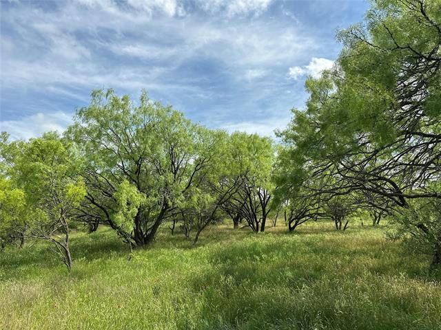 TRACT 15 CR 150, ABILENE, TX 79601, photo 1 of 10