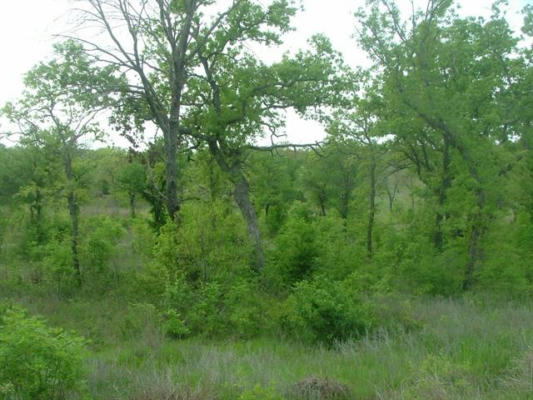 LOT 384 MOONLIGHT BAY DRIVE, CHICO, TX 76431, photo 2 of 14