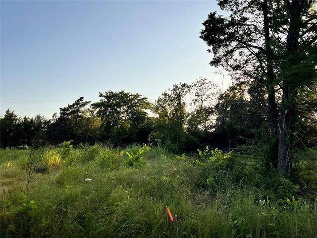 57 MORNING VIEW DR, GORDONVILLE, TX 76245, photo 1 of 4