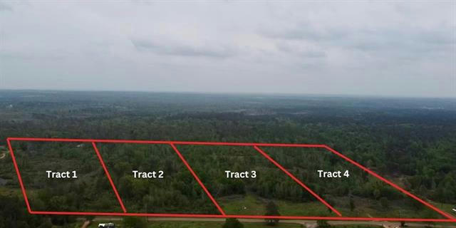 TRACT 4 COUNTY ROAD 4146, OVERTON, TX 75684 - Image 1
