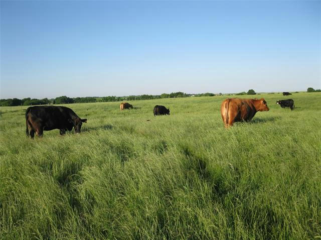 7250 NW COUNTY ROAD 4090, FROST, TX 76641, photo 1 of 38