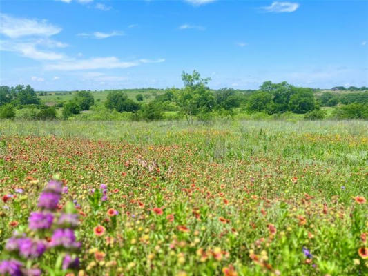 LOT69 GREENWOOD ROAD, COMANCHE, TX 76442, photo 4 of 7