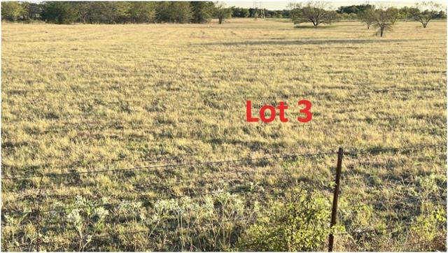 LOT 3 COBLER RD ROAD, COLLINSVILLE, TX 76233, photo 1 of 9