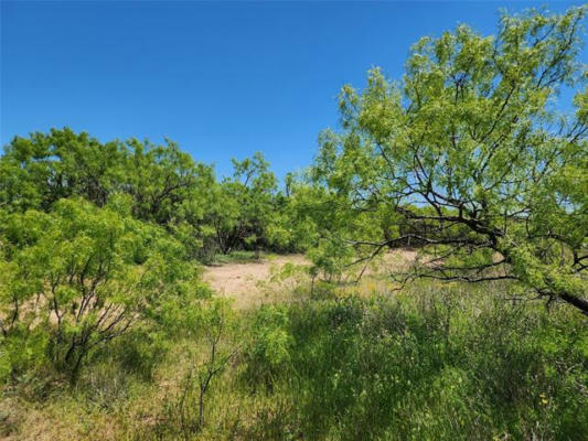 121 COUNTY ROAD # 145, WINTERS, TX 79567, photo 3 of 40