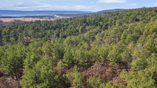 LOT 96 SADDLEGAP RANCH, TUSKAHOMA, OK 74571, photo 4 of 15