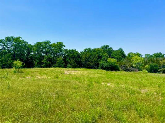 LOT 87 KERRY CT, POOLVILLE, TX 76487, photo 3 of 18