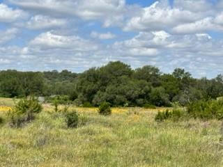 41 FM 2492 & CR 103, BROWNWOOD, TX 76801, photo 2 of 36