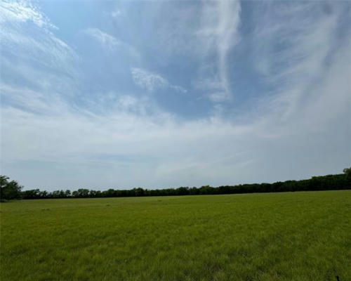 TBD N BRANCH ROAD, KRUM, TX 76249 - Image 1