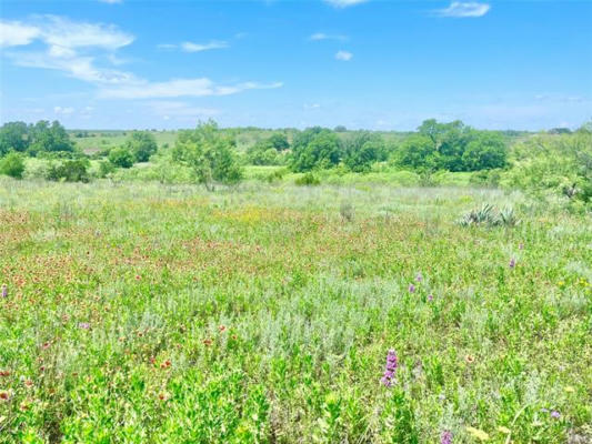 LOT69 GREENWOOD ROAD, COMANCHE, TX 76442, photo 2 of 7