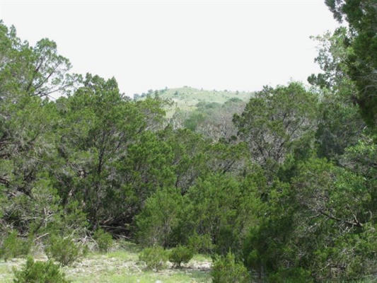 LOT 18 PHASE 3 PRIVATE ROAD 42112, EVANT, TX 76525, photo 2 of 22
