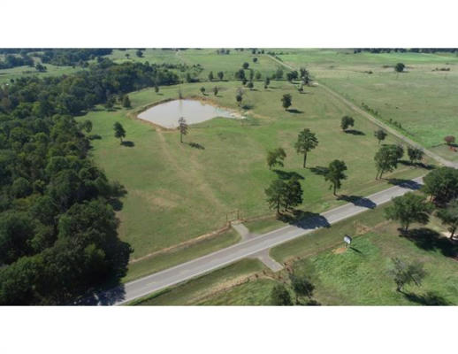 2291 FM 2054, TENNESSEE COLONY, TX 75861 - Image 1