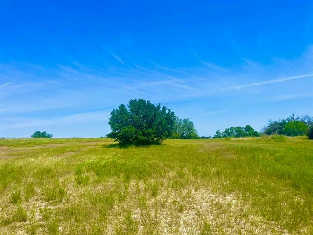 LOT 95 KERRY CT, POOLVILLE, TX 76487, photo 1 of 18