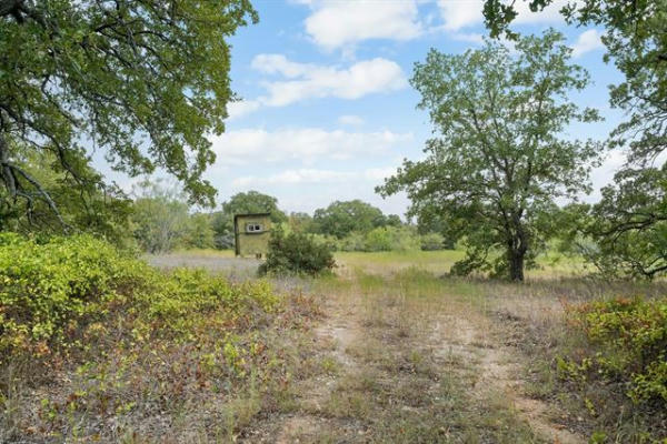 LOT 5 DOUBLE B RANCH ROAD N, PERRIN, TX 76486, photo 4 of 26