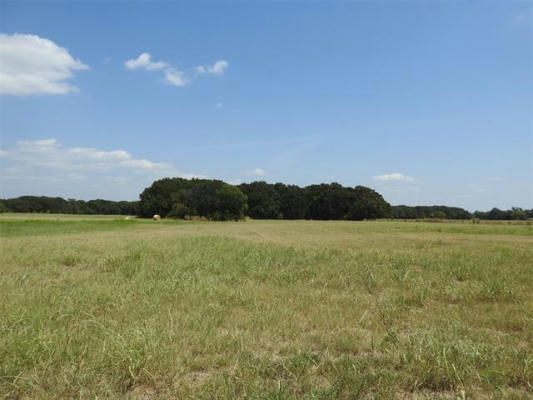 TBD COUNTY ROAD 2235, IVANHOE, TX 75447 - Image 1