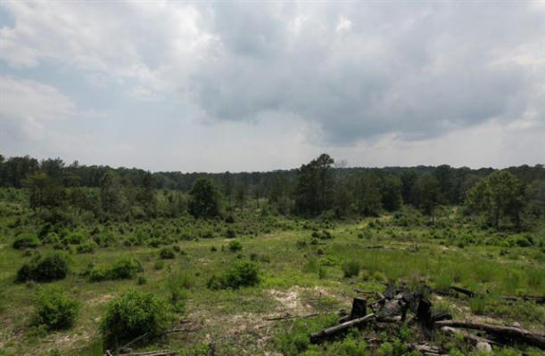 TBD COUNTY ROAD 2107, BURKEVILLE, TX 75932 - Image 1