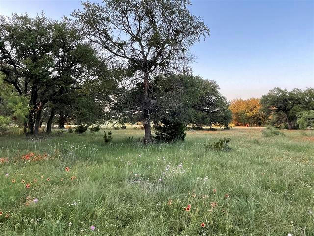 TBD COUNTY ROAD 213, GOLDTHWAITE, TX 76844, photo 1 of 21
