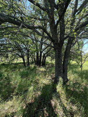 58 ACRES FM 920, BRIDGEPORT, TX 76426, photo 3 of 23