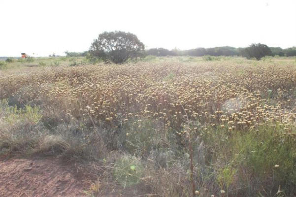 TBD US-83, TUSCOLA, TX 79562, photo 2 of 10