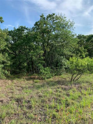 LOT 50 JIM WALTERS DRIVE, RUNAWAY BAY, TX 76426, photo 4 of 14